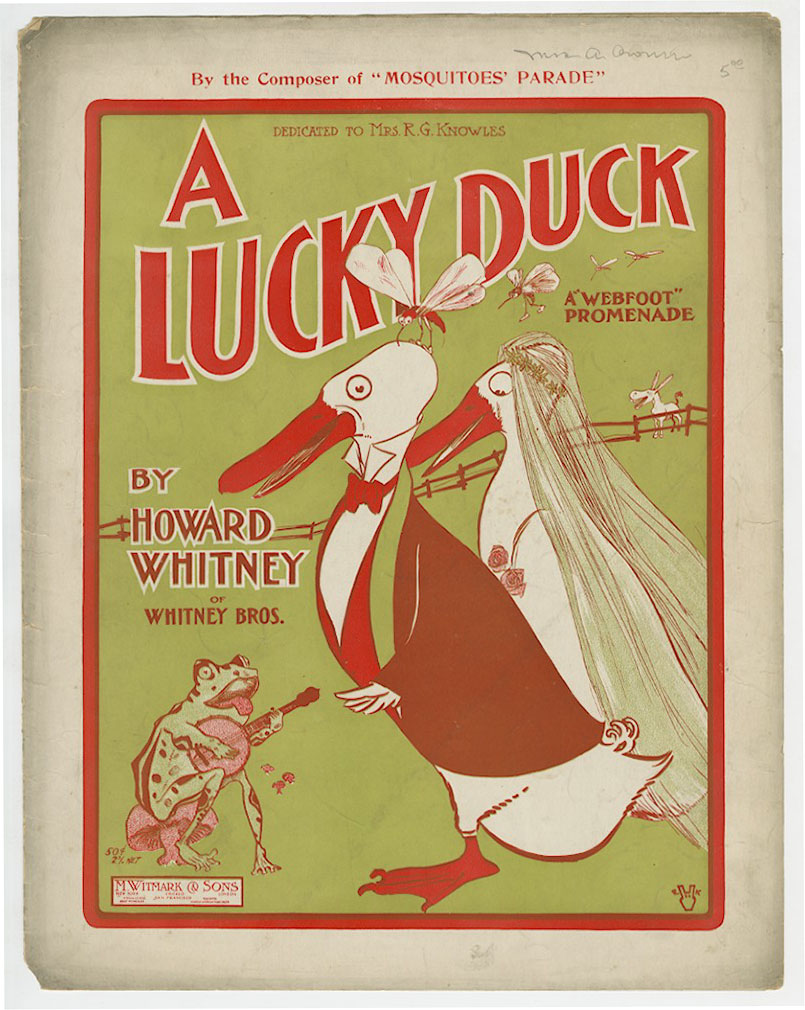 a-lucky-duck